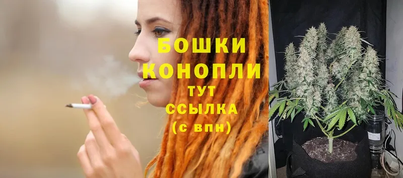 где купить   Шумиха  Бошки Шишки THC 21% 